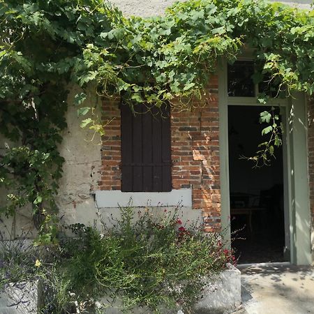 Вилла Domaine De L'Ile Boulleret Экстерьер фото